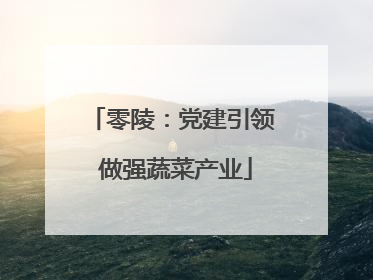 零陵：党建引领 做强蔬菜产业