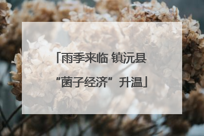 雨季来临 镇沅县“菌子经济”升温