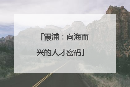 霞浦：向海而兴的人才密码