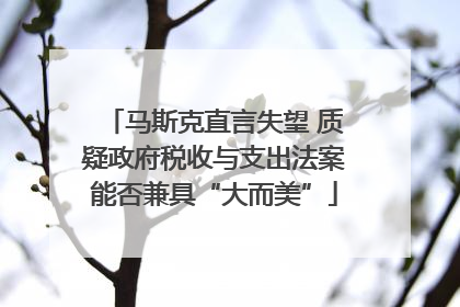 马斯克直言失望 质疑政府税收与支出法案能否兼具“大而美”