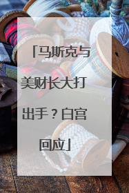 马斯克与美财长大打出手？白宫回应