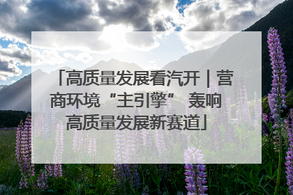 高质量发展看汽开｜营商环境“主引擎” 轰响高质量发展新赛道