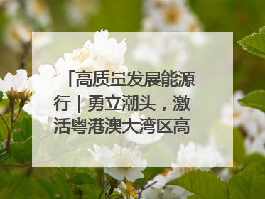 高质量发展能源行｜勇立潮头，激活粤港澳大湾区高质量发展动力源