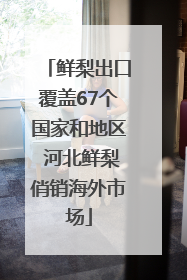 鲜梨出口覆盖67个国家和地区 河北鲜梨俏销海外市场