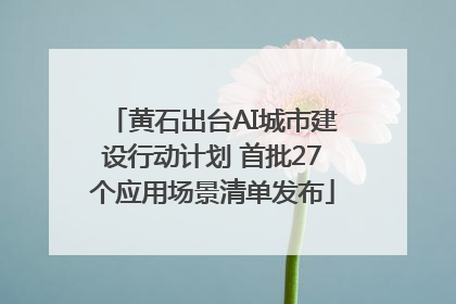 黄石出台AI城市建设行动计划 首批27个应用场景清单发布