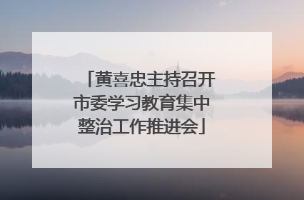黄喜忠主持召开市委学习教育集中整治工作推进会