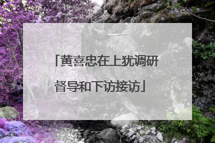 黄喜忠在上犹调研督导和下访接访
