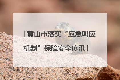 黄山市落实“应急叫应机制”保障安全度汛
