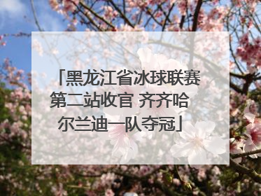 黑龙江省冰球联赛第二站收官 齐齐哈尔兰迪一队夺冠