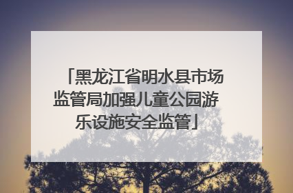 黑龙江省明水县市场监管局加强儿童公园游乐设施安全监管