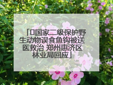 ﻿国家二级保护野生动物误食鱼钩被送医救治 郑州惠济区林业局回应