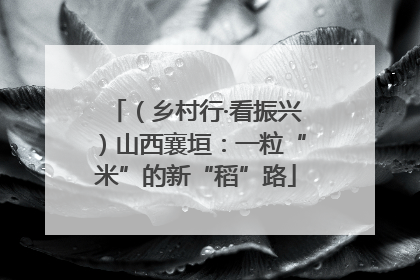 （乡村行·看振兴）山西襄垣：一粒“米”的新“稻”路