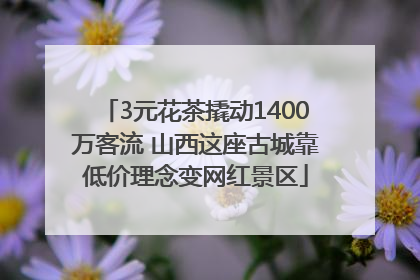 3元花茶撬动1400万客流 山西这座古城靠低价理念变网红景区
