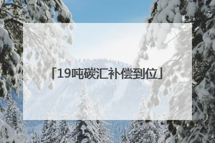 19吨碳汇补偿到位