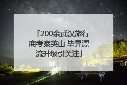200余武汉旅行商考察英山 毕昇漂流升级引关注
