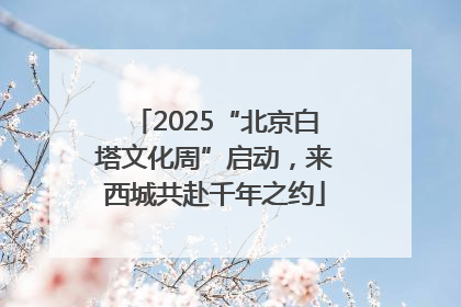 2025“北京白塔文化周”启动，来西城共赴千年之约