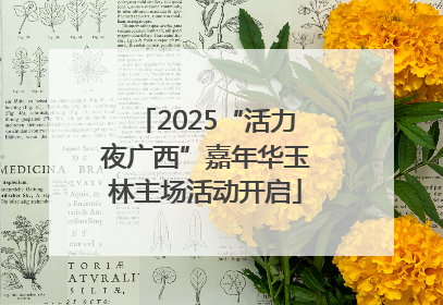 2025“活力夜广西”嘉年华玉林主场活动开启