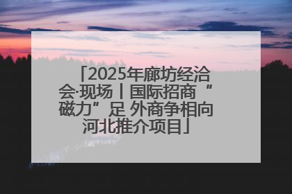 2025年廊坊经洽会·现场丨国际招商“磁力”足 外商争相向河北推介项目