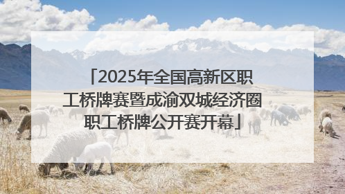 2025年全国高新区职工桥牌赛暨成渝双城经济圈职工桥牌公开赛开幕