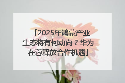 2025年鸿蒙产业生态将有何动向？华为在蓉释放合作机遇
