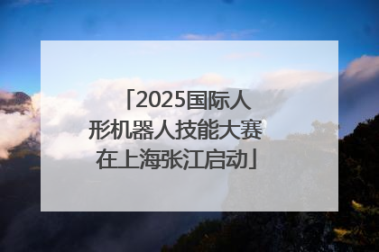2025国际人形机器人技能大赛在上海张江启动
