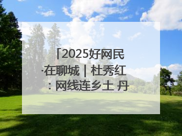 2025好网民·在聊城｜杜秀红：网线连乡土 丹心映桑梓