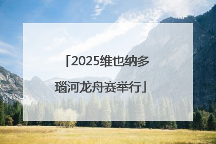 2025维也纳多瑙河龙舟赛举行