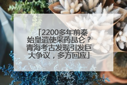 2200多年前秦始皇遣使采药昆仑？青海考古发现引发巨大争议，多方回应