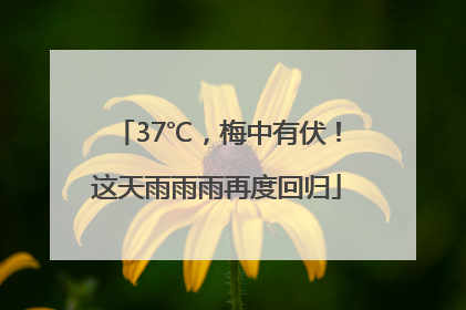 37℃，梅中有伏！这天雨雨雨再度回归