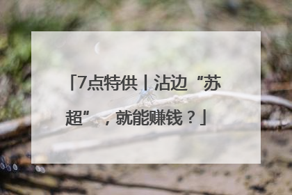 7点特供丨沾边“苏超”，就能赚钱？