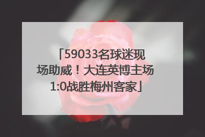 59033名球迷现场助威！大连英博主场1:0战胜梅州客家