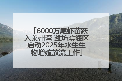 6000万尾虾苗跃入莱州湾 潍坊滨海区启动2025年水生生物增殖放流工作