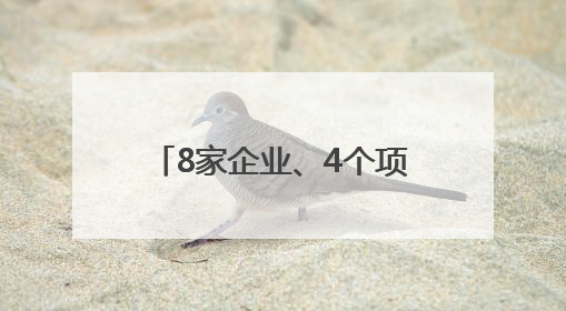 8家企业、4个项目上榜！东城“文化出海”能级再提升