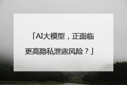 AI大模型，正面临更高隐私泄露风险？
