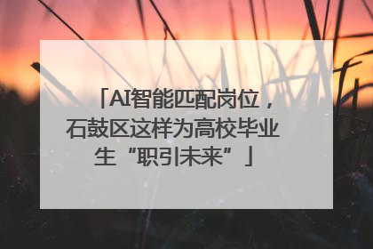 AI智能匹配岗位，石鼓区这样为高校毕业生“职引未来”