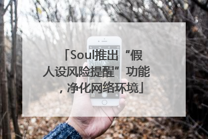 Soul推出“假人设风险提醒”功能，净化网络环境