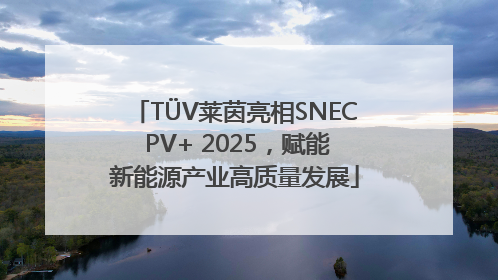 TÜV莱茵亮相SNEC PV+ 2025，赋能新能源产业高质量发展
